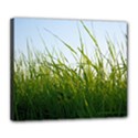 Grass Deluxe Canvas 24  x 20  (Framed) View1