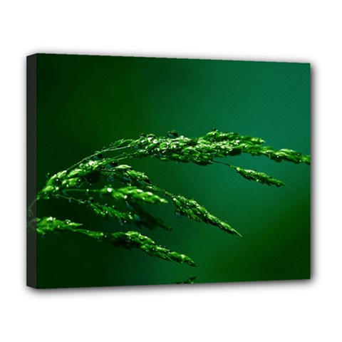 Waterdrops Canvas 14  X 11  (framed)