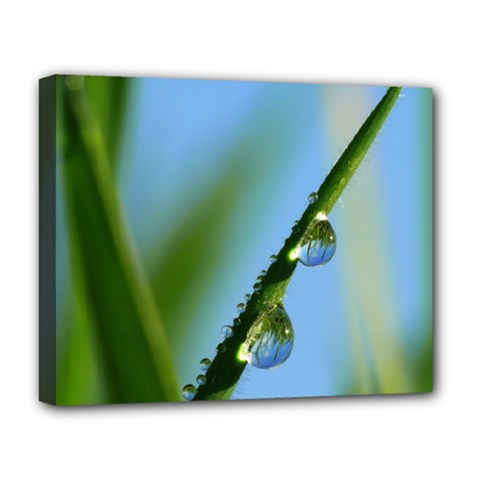 Waterdrops Deluxe Canvas 20  X 16  (framed)