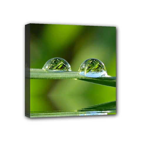 Waterdrops Mini Canvas 4  X 4  (framed)