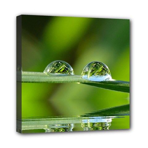 Waterdrops Mini Canvas 8  X 8  (framed)