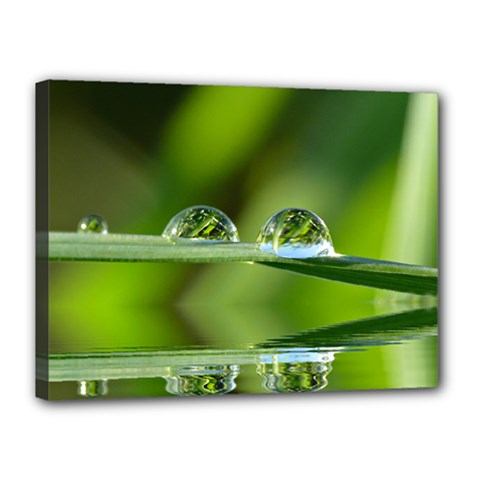 Waterdrops Canvas 16  X 12  (framed)