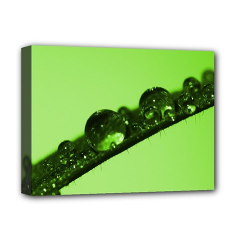 Green Drops Deluxe Canvas 16  X 12  (framed)  by Siebenhuehner