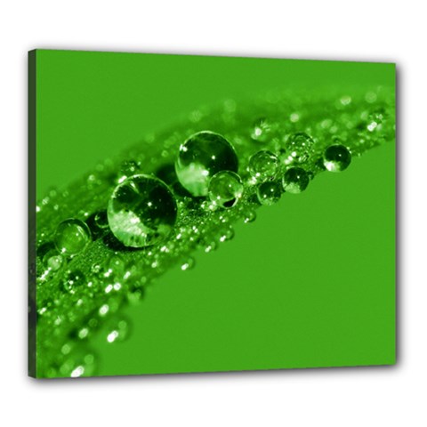 Green Drops Canvas 24  X 20  (framed)