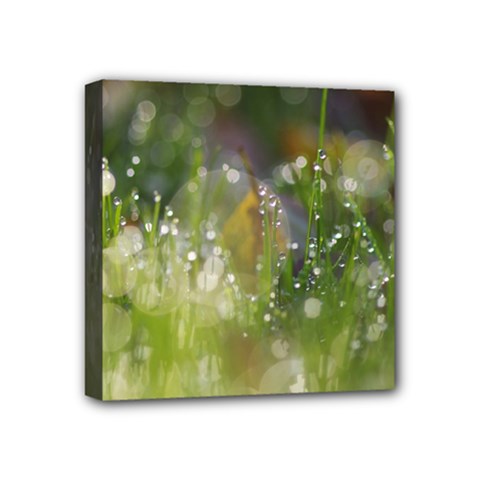 Drops Mini Canvas 4  X 4  (framed) by Siebenhuehner