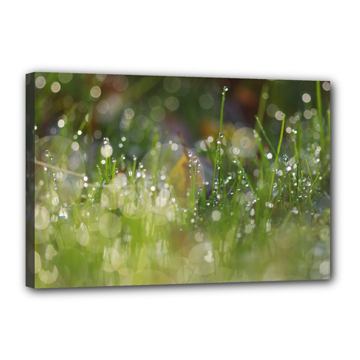 Drops Canvas 18  x 12  (Framed)