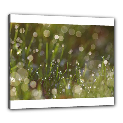 Waterdrops Canvas 24  X 20  (framed)