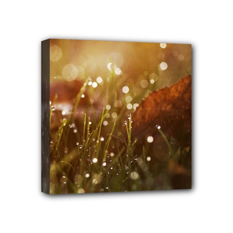 Waterdrops Mini Canvas 4  X 4  (framed)