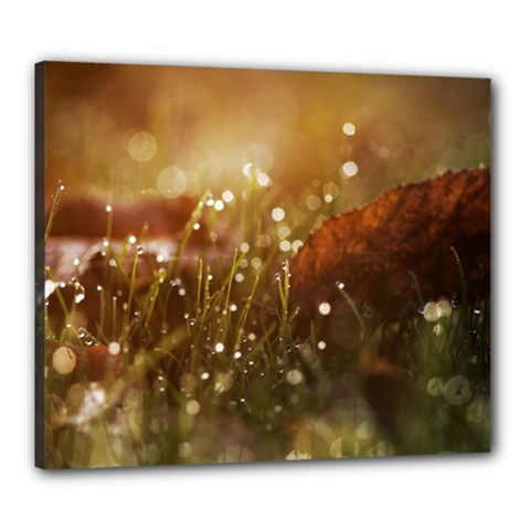 Waterdrops Canvas 24  X 20  (framed) by Siebenhuehner