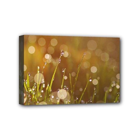 Waterdrops Mini Canvas 6  X 4  (framed) by Siebenhuehner