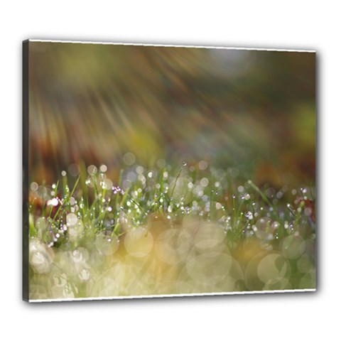 Sundrops Canvas 24  X 20  (framed) by Siebenhuehner