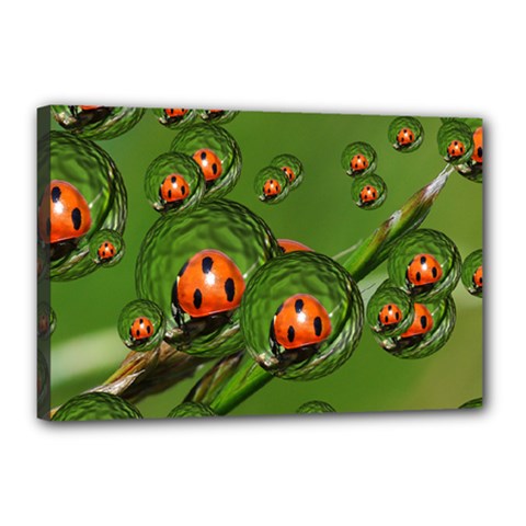 Ladybird Canvas 18  X 12  (framed) by Siebenhuehner