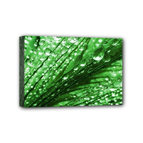 Waterdrops Mini Canvas 6  X 4  (framed) by Siebenhuehner