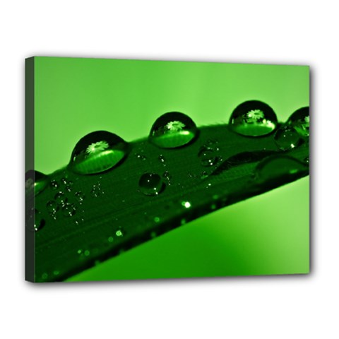 Waterdrops Canvas 16  X 12  (framed) by Siebenhuehner