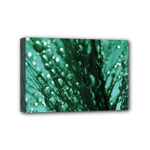 Waterdrops Mini Canvas 6  X 4  (framed) by Siebenhuehner