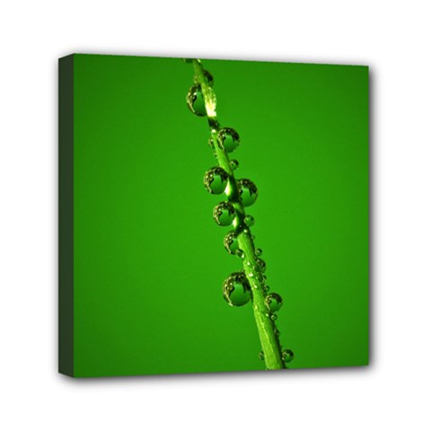 Waterdrops Mini Canvas 6  X 6  (framed) by Siebenhuehner