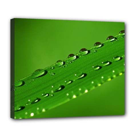 Waterdrops Deluxe Canvas 24  X 20  (framed) by Siebenhuehner