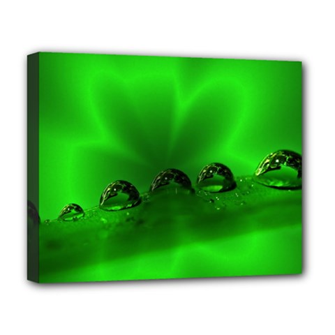 Drops Deluxe Canvas 20  X 16  (framed) by Siebenhuehner