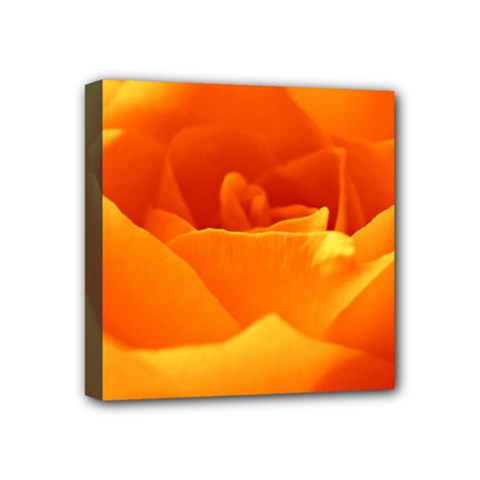 Rose Mini Canvas 4  X 4  (framed) by Siebenhuehner