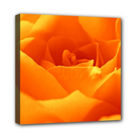 Rose Mini Canvas 8  X 8  (framed) by Siebenhuehner