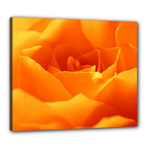 Rose Canvas 24  X 20  (framed) by Siebenhuehner