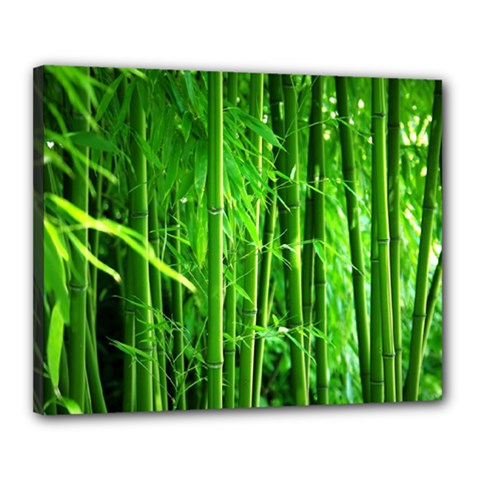 Bamboo Canvas 20  X 16  (framed) by Siebenhuehner