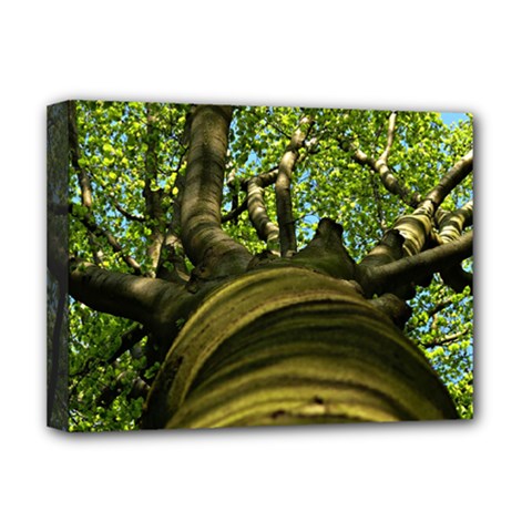 Tree Deluxe Canvas 16  X 12  (framed)  by Siebenhuehner