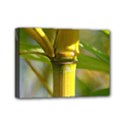 Bamboo Mini Canvas 7  x 5  (Framed) View1