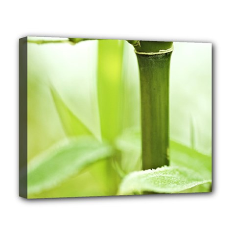 Bamboo Deluxe Canvas 20  X 16  (framed) by Siebenhuehner