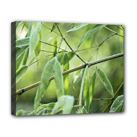 Bamboo Deluxe Canvas 20  X 16  (framed) by Siebenhuehner