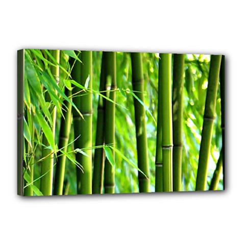 Bamboo Canvas 18  X 12  (framed) by Siebenhuehner