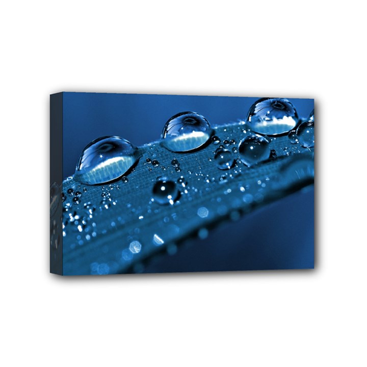 Drops Mini Canvas 6  x 4  (Framed)