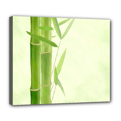 Bamboo Deluxe Canvas 24  X 20  (framed)