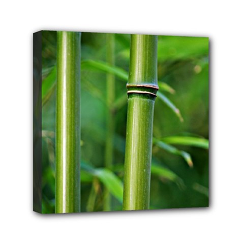 Bamboo Mini Canvas 6  X 6  (framed)