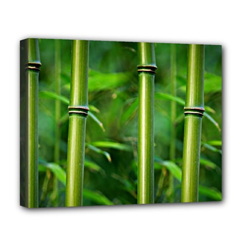 Bamboo Deluxe Canvas 20  X 16  (framed) by Siebenhuehner