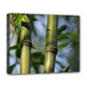 Bamboo Deluxe Canvas 20  x 16  (Framed) View1