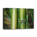 Bamboo Deluxe Canvas 18  x 12  (Framed) View1