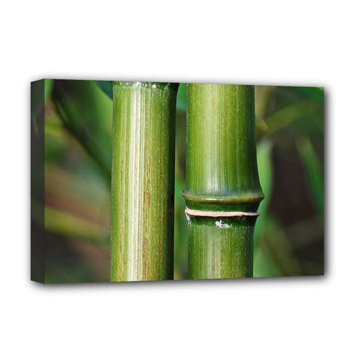 Bamboo Deluxe Canvas 18  x 12  (Framed)