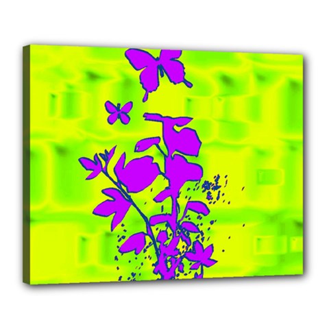 Butterfly Green Canvas 20  X 16  (framed)