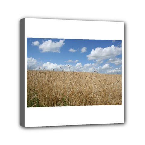 Grain And Sky Mini Canvas 6  X 6  (framed)