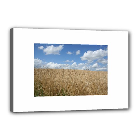 Grain And Sky Canvas 18  X 12  (framed)