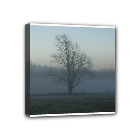 Foggy Tree Mini Canvas 4  X 4  (framed)