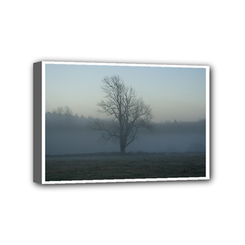 Foggy Tree Mini Canvas 6  X 4  (framed)