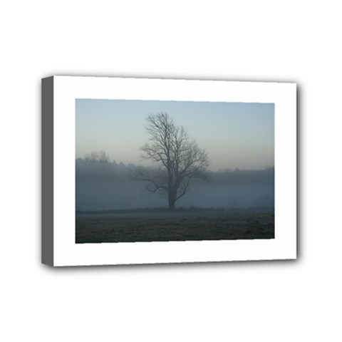 Foggy Tree Mini Canvas 7  X 5  (framed) by plainandsimple