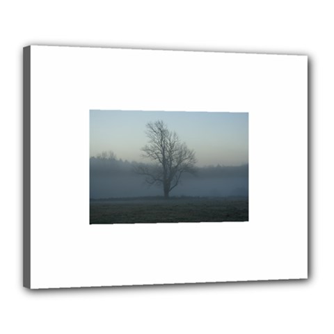 Foggy Tree Canvas 20  X 16  (framed)