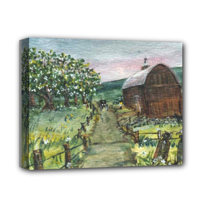  Amish Apple Blossoms  by Ave Hurley of ArtRevu ~ Deluxe Canvas 14  x 11  (Stretched)