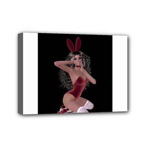 Miss Bunny In Red Lingerie Mini Canvas 7  X 5  (framed) by goldenjackal