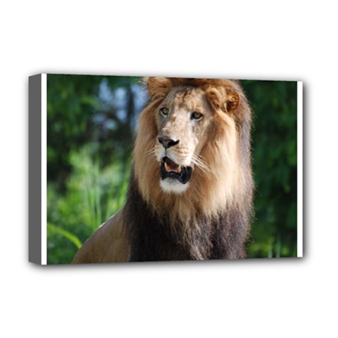 Regal Lion Deluxe Canvas 18  X 12  (framed) by AnimalLover