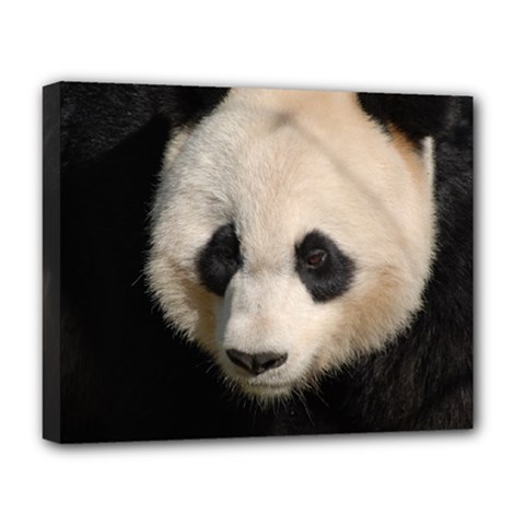 Adorable Panda Deluxe Canvas 20  X 16  (framed) by AnimalLover