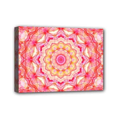 Yellow Pink Romance Mini Canvas 7  X 5  (framed)